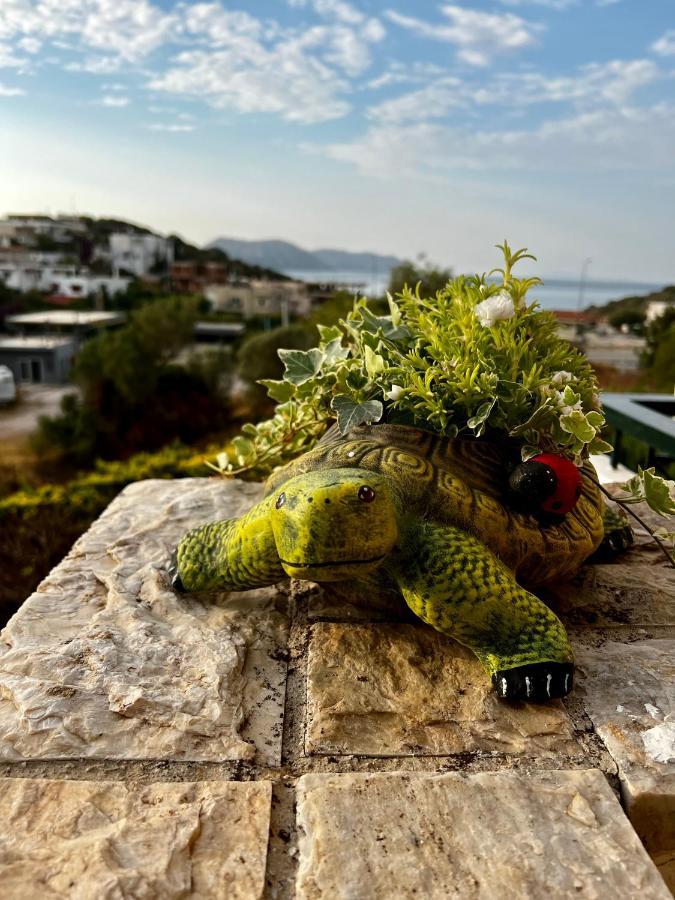 Thedreamlifehouse Διαμέρισμα Ανάβυσσος Εξωτερικό φωτογραφία